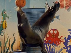 -太平洋海底世界