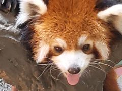 -辛玛王国游乐园