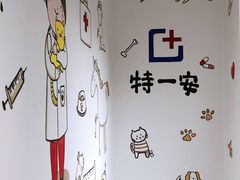 -特一安24小时宠物医院·骨科·中兽医