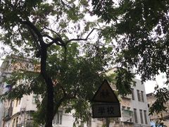 -清平路水族市场