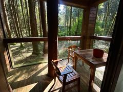 -武陵山森林公园