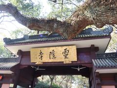 -灵隐飞来峰景区
