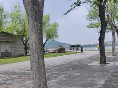 -上海月湖雕塑公园