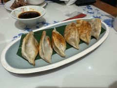-东方饺子王(新阳路店)
