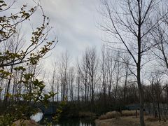 -溱湖国家湿地公园