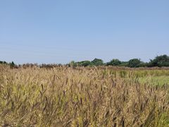 -汉长安城未央宫国家考古遗址公园