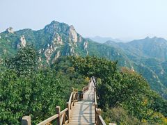 -大岭沟猕猴桃谷风景区