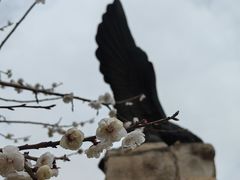 -鹫峰国家森林公园