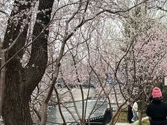 -安定门(地铁站)