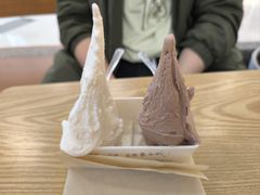 -野人先生Gelato(上海长宁龙之梦店)