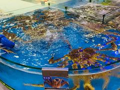 -清水湾3号(东方小周海鲜店)