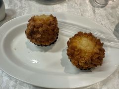 -丁老爷子苏香圆