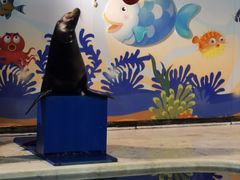 -太平洋海底世界