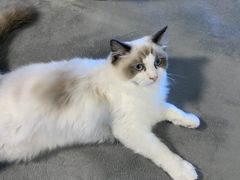 -零纪元VR体验馆·桌游(黄浦店)