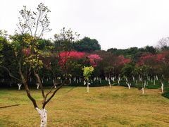 -冠雄先生烤冷面(熙街旗舰店)
