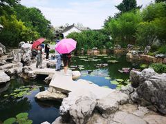 -陈家山荷花公园