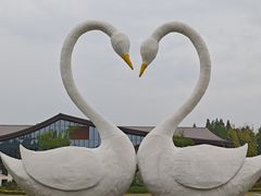 -东平国家森林公园