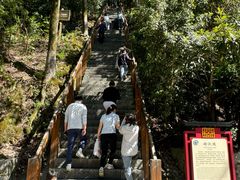 -云碧峰国家森林公园