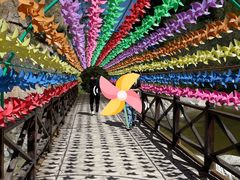 -青峰峡国家森林公园