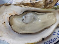 桑拿蠔-天宝食坊·啫啫煲大排档(西华路店)