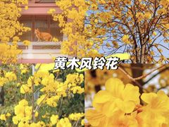 -长洲岛