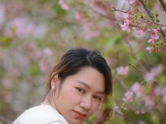 -天适樱花悠乐园