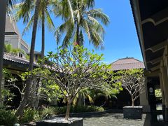 -海南清水湾莱佛士酒店