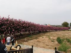 -武汉紫薇都市田园