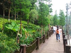 -重庆彩云湖湿地公园
