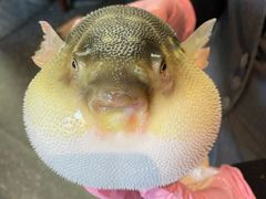 -永安鱼庄·镇江菜(东吴路店)