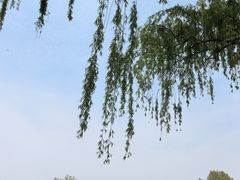-石家庄市植物园