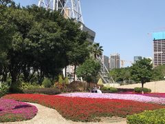 -文华公园(禅城区)
