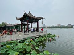 -莲花池公园