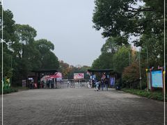 -上海海湾国家森林公园