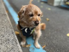 -Avg Coffee(新景苑店)