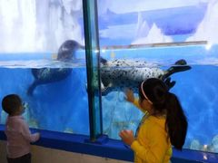 -多彩贵州城极地海洋世界