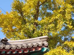 -北京石刻艺术博物馆(五塔寺)