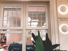 -PAUL LAFAYET 法式甜品(港汇广场店)