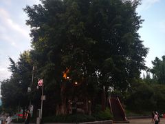 -中国宜宾·长江地标广场