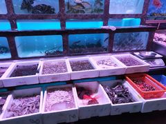 水产区-长平肥姐白粥·海鲜打冷