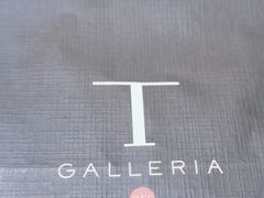 -DFS迪斐世(香港广东道店)
