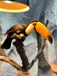 -Zoolung Zoolung动物主题公园(海信广场店)