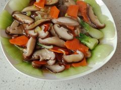 -爱月宝月嫂·育儿嫂(哈尔滨总店)