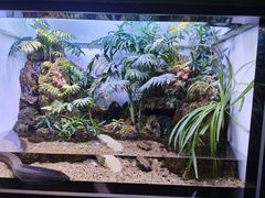 -上海海洋水族馆