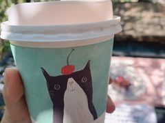-喵屿·大理花园猫咖