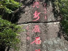 -汤旺河林海奇石景区