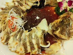 清蒸鲜鲈鱼-博雅渔港·融合菜(维也纳国际大酒店)