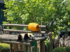 -大连森林动物园