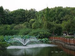 -成都南湖公园