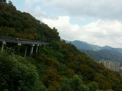 -金鸡山公园